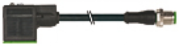Murr M12 straight plug / plug MSUD valve BF A 18mm 0.6m