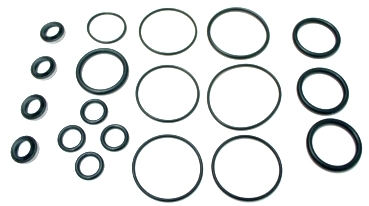 Dichtsatz Schwenkvorrichtung Mittel Segment Wechsler P4-**12