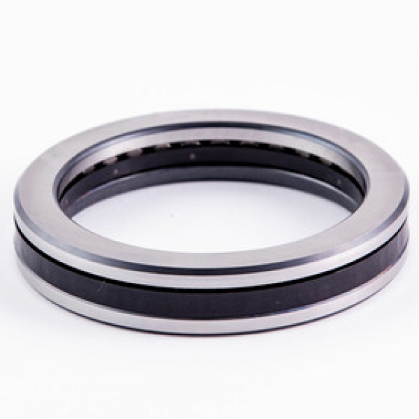 INA Roller Bearing 81111-TN