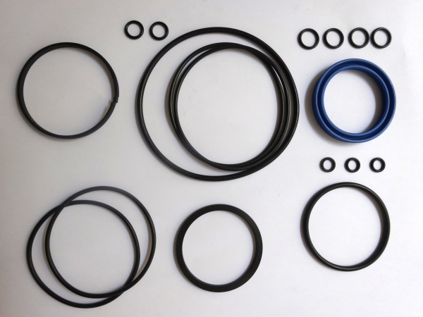 Seals Kit DS1432 P2R Rebuild Kit S4